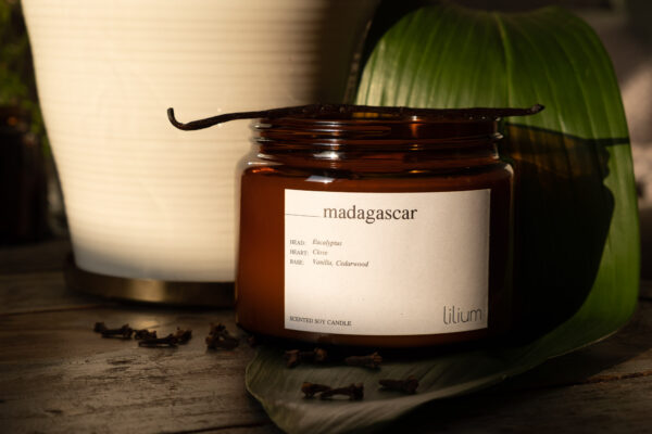 Madagascar - candela profumata - immagine 6