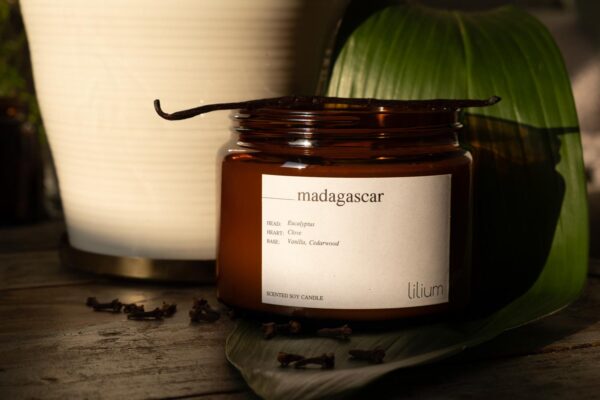 Madagascar - candela profumata - immagine 8