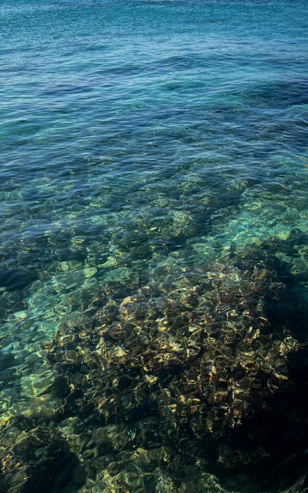 Fico Mediterraneo - diffusore a midollino - immagine 3